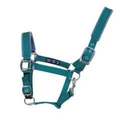 Woof Wear Contour Head Collar 25 Woof Wear Contour Head Collar -Horse Supplies Sale 0003121 ws0022 brgr 1 jpeg