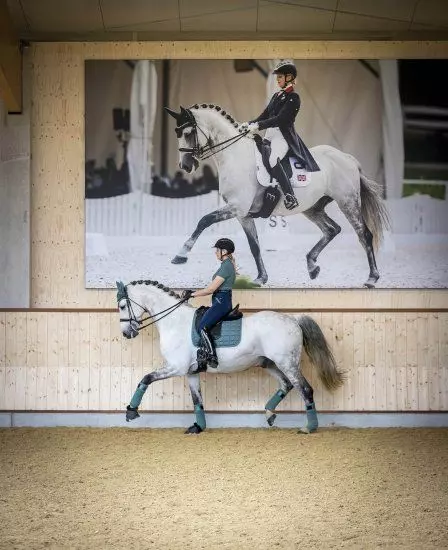 LeMieux Carbon Mesh Dressage Square 6 LeMieux Carbon Mesh Dressage Square - Image 4