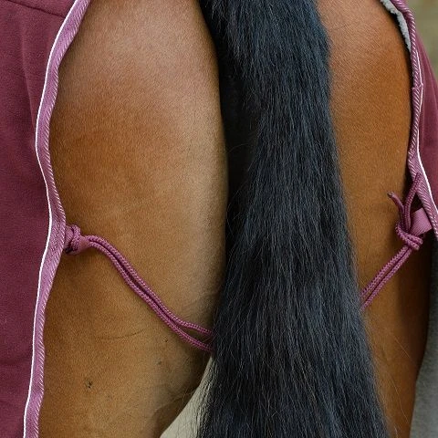 Weatherbeeta Sherpa Fleece Cooler Standard Neck 9 Weatherbeeta Sherpa Fleece Cooler Standard Neck - Image 7