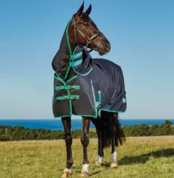 WeatherBeeta Green-Tec 900D Detach-A-Neck Heavy Turnout Rug