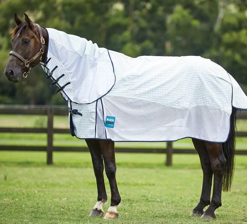 Weatherbeeta Kool Coat Airstream With Hidden Surcingle III Combo Neck 12 Weatherbeeta Kool Coat Airstream With Hidden Surcingle III Combo Neck - Image 10