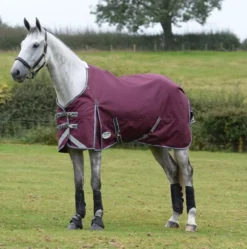 WeatherBeeta ComFiTec Plus Dynamic II Standard Neck Lite