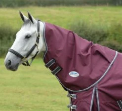 WeatherBeeta ComFiTec Plus Dynamic II Neck Rug Medium - Maroon Grey White 13 WeatherBeeta ComFiTec Plus Dynamic II Neck Rug Medium - Maroon Grey White -Horse Supplies Sale 1006923003 wb cft pdynmc ii nrg image hero null 1 3