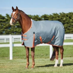 Weatherbeeta Comfitec Classic Standard Neck Medium / Lite -Horse Supplies Sale 1009402068 6 jpg