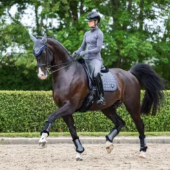 LeMieux Fleece Edge Mesh Brushing Boot -Horse Supplies Sale 1g0a4419 2 jpg