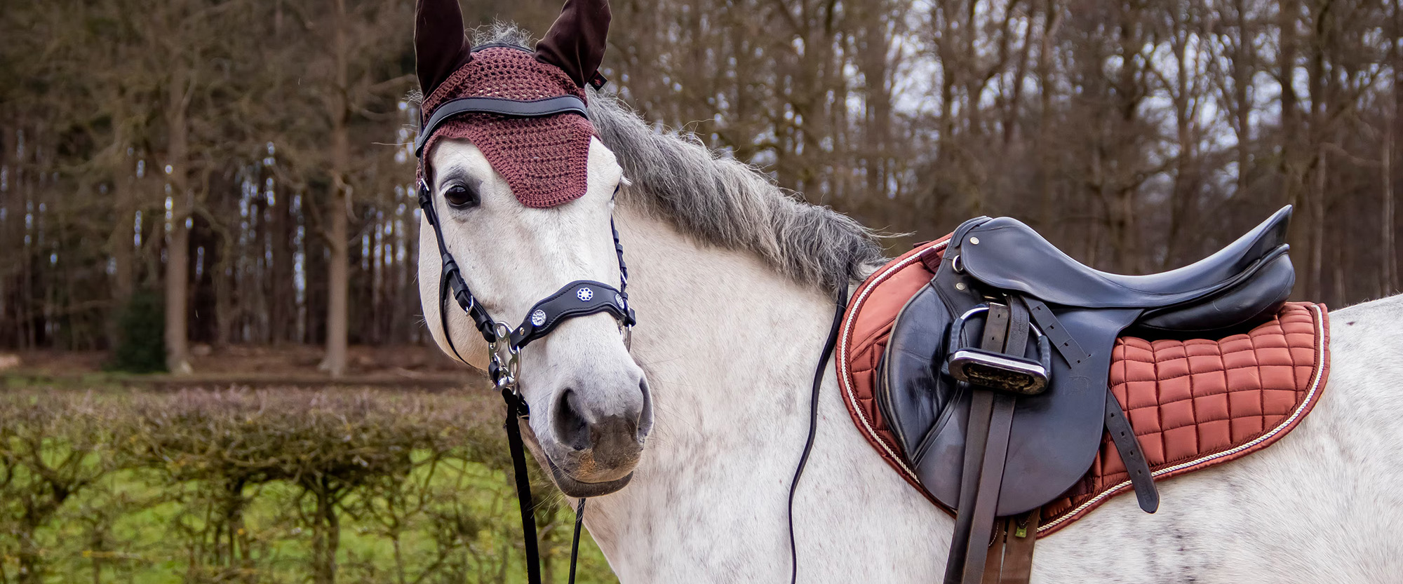 Horse Supplies Sale 4 Horse Supplies Sale -Horse Supplies Sale 2