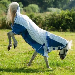 Gallop Air-Mesh Summer Sheet Combo -Horse Supplies Sale 2032 4 1 10 jpg