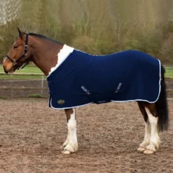 Gallop Jersey Cooler Rug -Horse Supplies Sale 2050 13 6 7 jpg