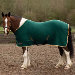 Gallop Jersey Cooler Rug -Horse Supplies Sale 2050 1 3 6 jpg