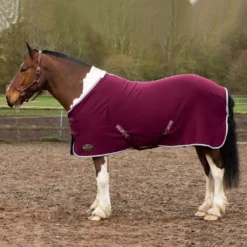 Gallop Jersey Cooler Rug -Horse Supplies Sale 2050 5 1 2 1 5 jpg