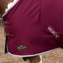 Gallop Jersey Cooler Rug -Horse Supplies Sale 2050 6 6 6 jpg
