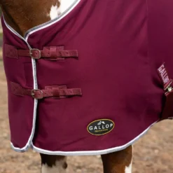 Gallop Jersey Cooler Rug -Horse Supplies Sale 2050 7 6 3 jpg