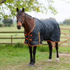 Gallop Trojan 100 Stable Rug -Horse Supplies Sale 2100 2 1 6 jpg