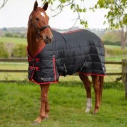 Gallop Trojan 200 Stable Rug -Horse Supplies Sale 2101 3 1 7 jpg