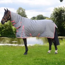 StormX Original 300 Combi Turnout Rug - Grey Pink 17 StormX Original 300 Combi Turnout Rug - Grey Pink -Horse Supplies Sale 25524 stormx original 300 combi turnout rug lifestyle 01 1 6 jpg