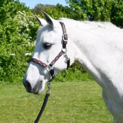 Rhinegold Padded Diamond Pattern Headcollar And Leadrope Set -Horse Supplies Sale 339 black web 3 jpg