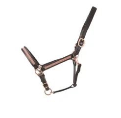 Hy Equestrian Rosciano Rose Gold Head Collar