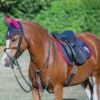 Riding Star Collection Saddle Pad By Little Rider 2 Riding Star Collection Saddle Pad By Little Rider -Horse Supplies Sale 38401 riding star collection fly veil by little rider 02 1 2 1 jpg