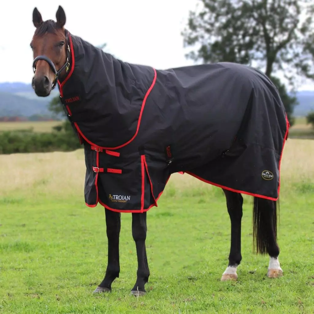Gallop Trojan 200 Dual Turnout Rug And Neck Set 6 Gallop Trojan 200 Dual Turnout Rug And Neck Set - Image 4
