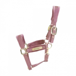 Kentucky Horsewear Kentucky Velvet Head Collar -Horse Supplies Sale 42558 10 f a929523bbdd099ba1a676b6771a9e673 article photobook m 1 png