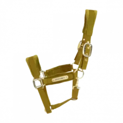 Kentucky Horsewear Kentucky Velvet Head Collar -Horse Supplies Sale 42558 44 f a929523bbdd099ba1a676b6771a9e673 article photobook m 1 png