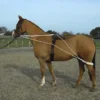 Rhinegold Training System With Roller Included 1 Rhinegold Training System With Roller Included -Horse Supplies Sale 461b web 1 1 jpg