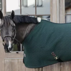 Kentucky Horsewear 4D Spacer Cooler Sheet - Pine Green -Horse Supplies Sale 485a3364 e8502ded370e565d04389cf2c54c4715 article photobook crop 1 png
