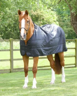 Premier Equine 50g Horse Rug Liner -Horse Supplies Sale 50gliner 1 10 jpg