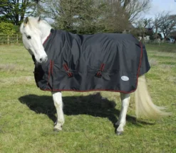 Rhinegold Thor Heavyweight Turnout Rug -Horse Supplies Sale 664 thor rug zoom 1 3 jpg