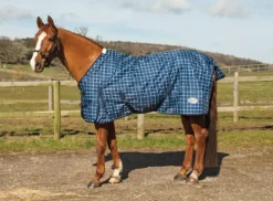 Rhinegold Atlanta Fleece Lined Lightweight Turnout Rug