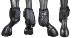 Mark Todd Air Vent Fetlock Boots