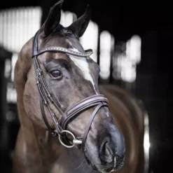 LeMieux Arika Dressage Bridle