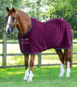 Premier Equine Asure Fleece Rug 41 Premier Equine Asure Fleece Rug -Horse Supplies Sale asure fleece cooler burgundy 1 1 1 jpg