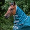 Bucas Atlantic Turnout Combi Neck Cover