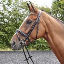 John Whitaker Barton Bling Flash Bridle Inc Rubber Reins