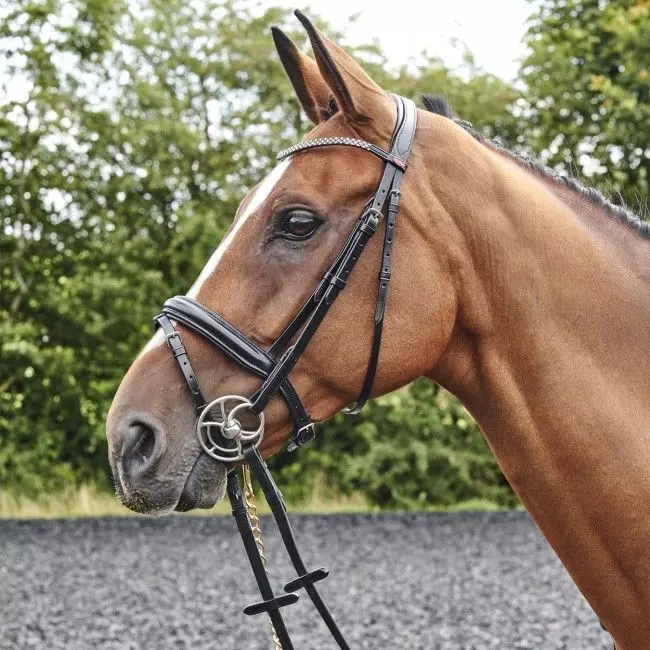 John Whitaker Barton Bling Flash Bridle Inc Rubber Reins 3 John Whitaker Barton Bling Flash Bridle Inc Rubber Reins