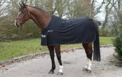 Bucas Panel Prize Cooler -Horse Supplies Sale bucas panel prize cooler black silver 6