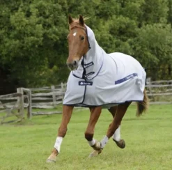 Horse Supplies Sale 9 Horse Supplies Sale -Horse Supplies Sale bucas buzz off fly rug full neck 5 jpg