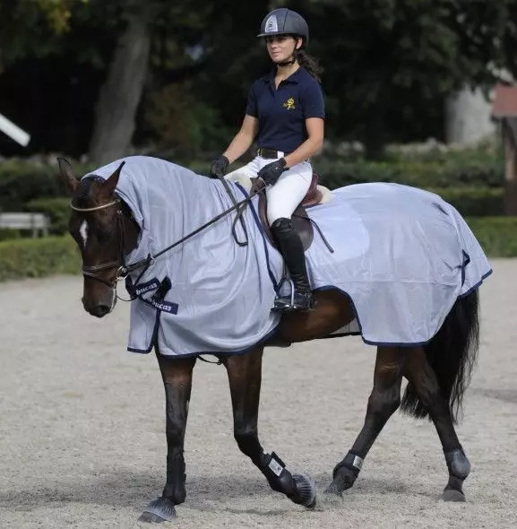 Bucas Buzz Off Riding Rug 5 Bucas Buzz Off Riding Rug - Image 3