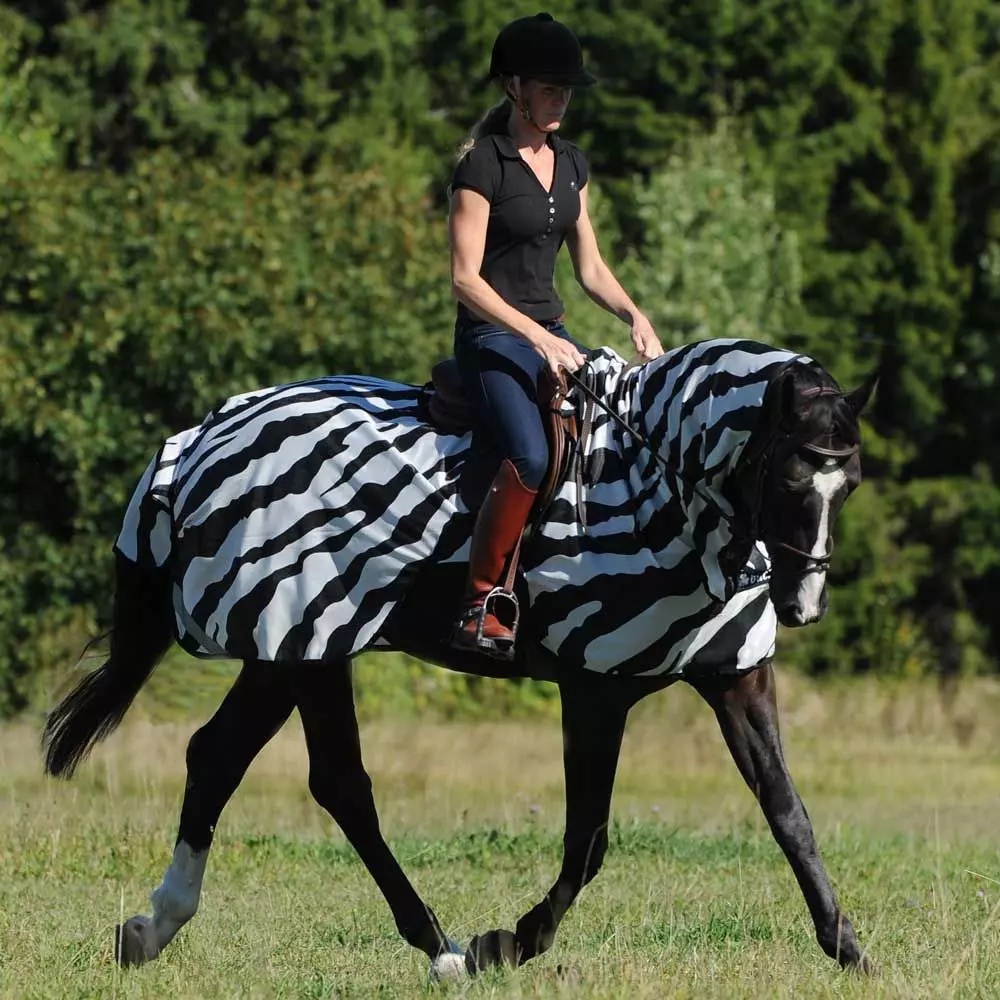 Bucas Buzz Off Riding Zebra Rug 5 Bucas Buzz Off Riding Zebra Rug - Image 3