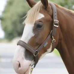 Bucas Dublin Comfort Headcollar