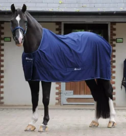 Bucas Power Cooler Rug - Detachable Surcingles 33 Bucas Power Cooler Rug - Detachable Surcingles -Horse Supplies Sale bucas power cooler navy 1 jpg