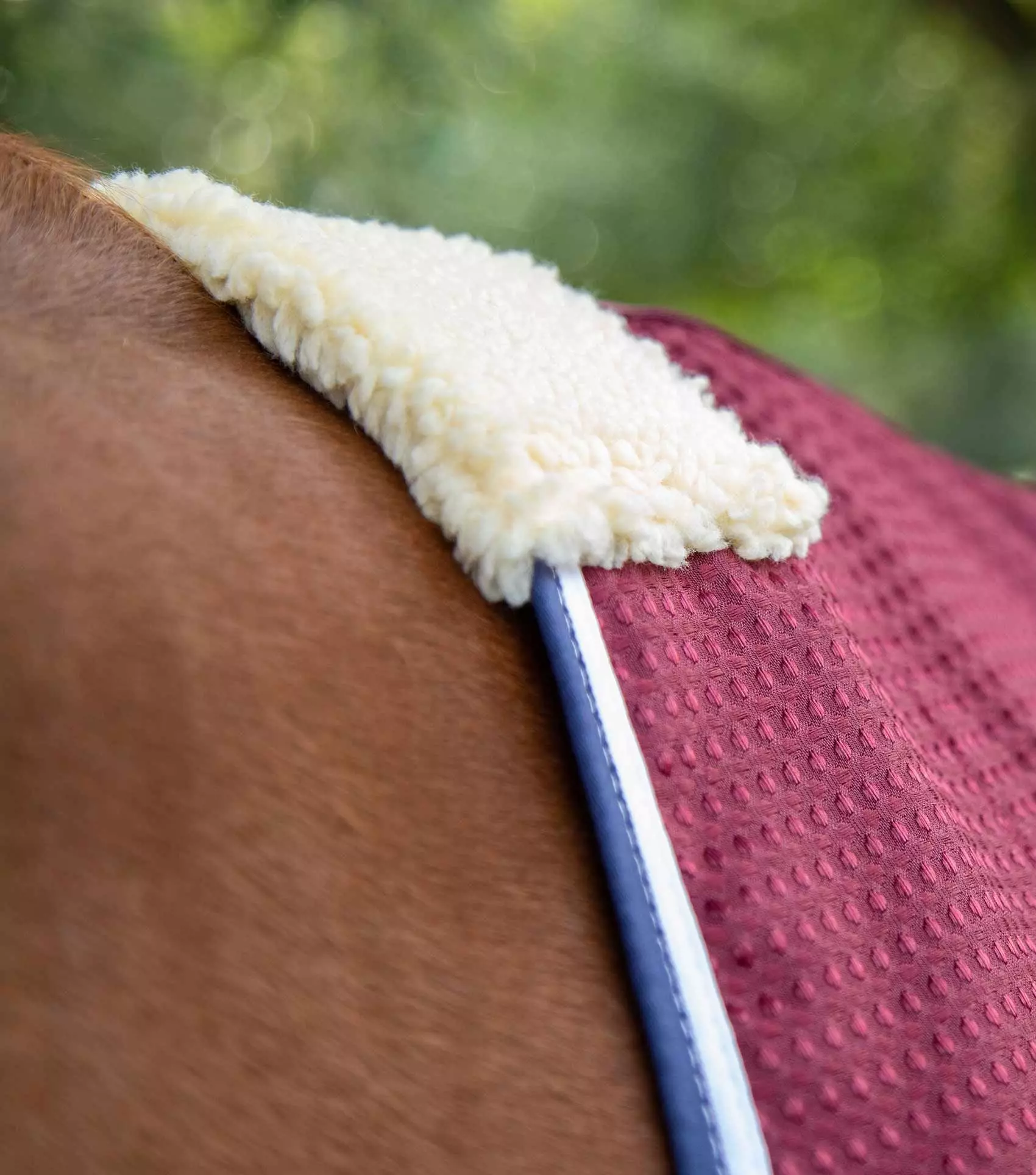Premier Equine Buster Waffle Horse Cooler Rug 13 Premier Equine Buster Waffle Horse Cooler Rug - Image 11