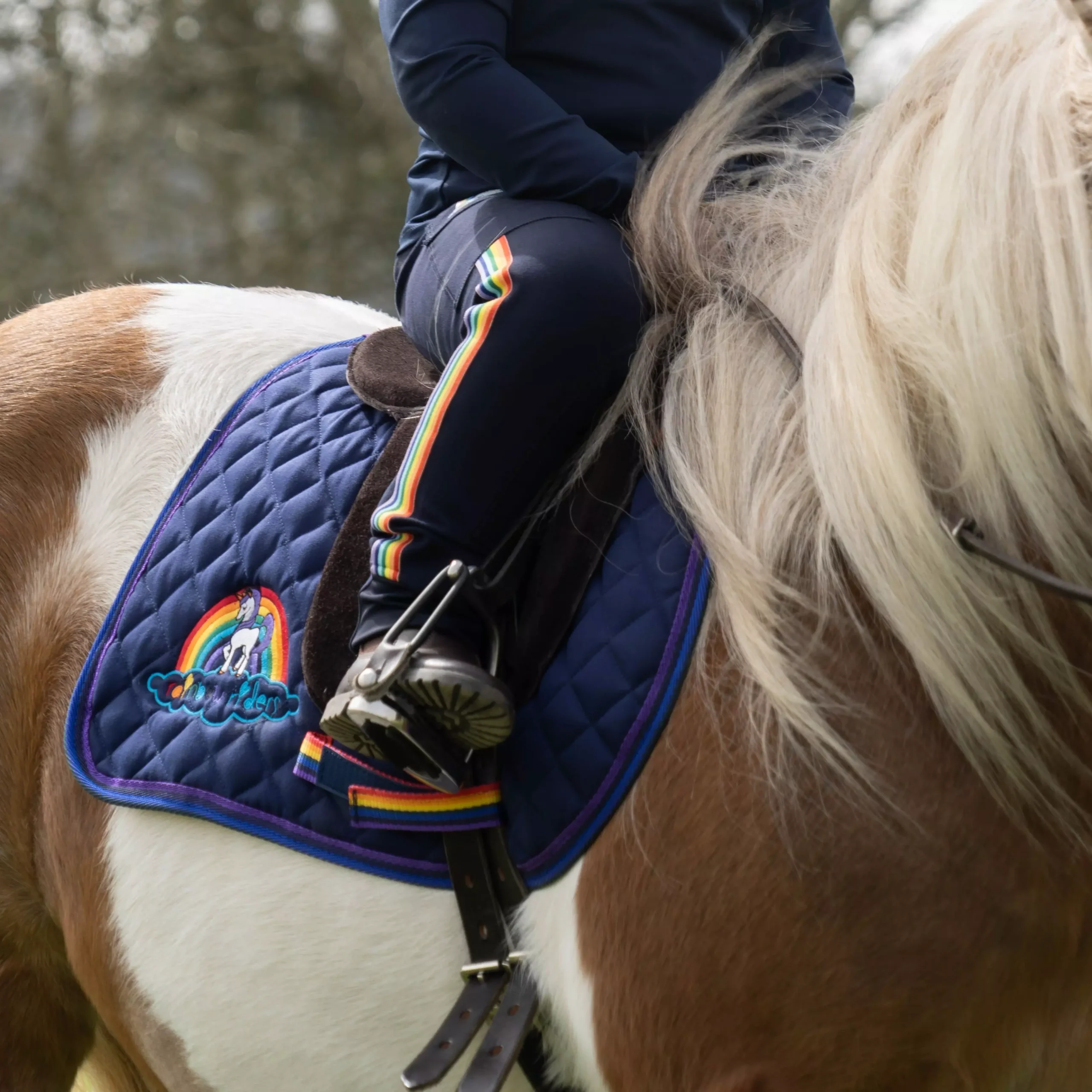 Cameo Equine Rainbow Rider Saddle Cloth 6 Cameo Equine Rainbow Rider Saddle Cloth - Image 4