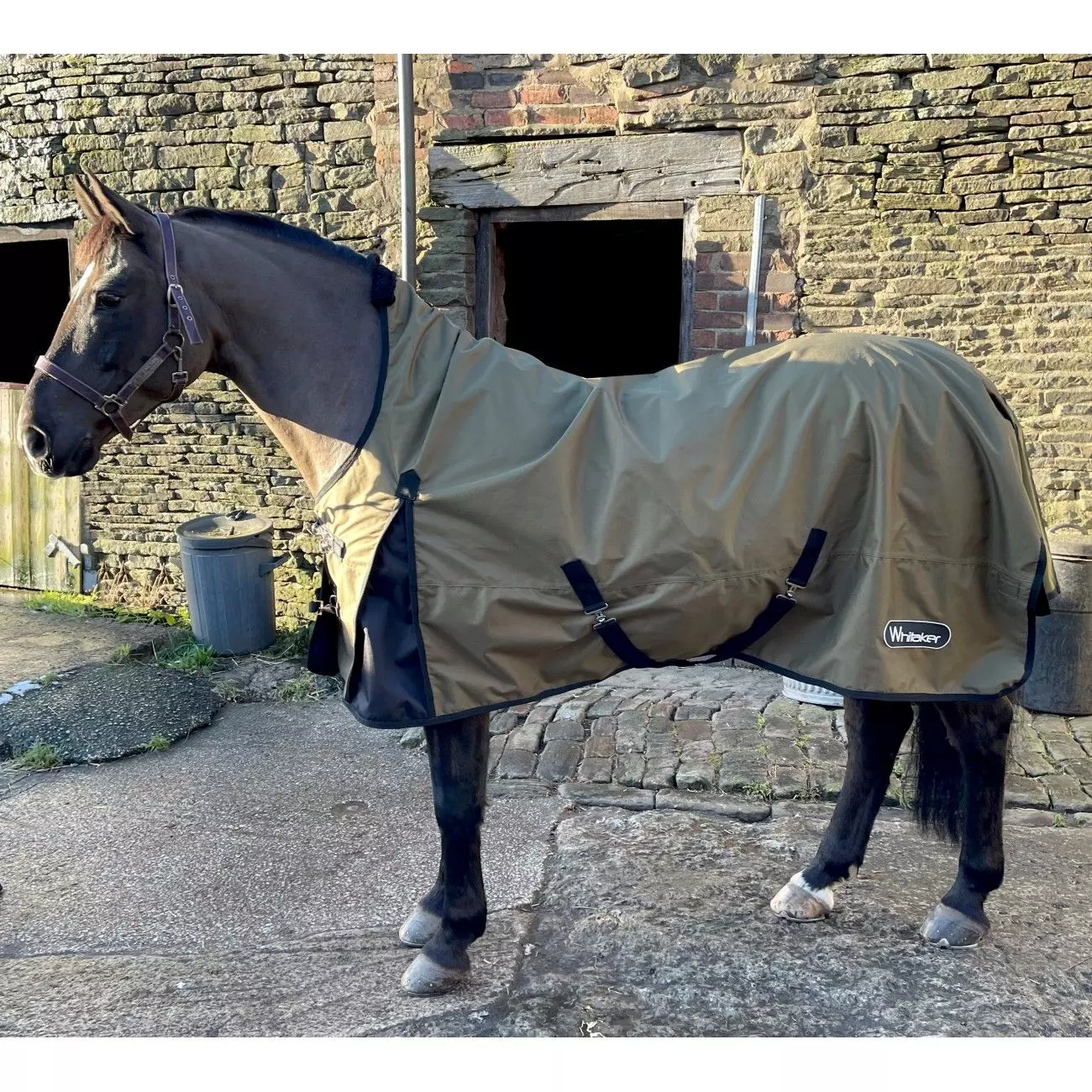 John Whitaker Carlton Midi Neck 0g 14 John Whitaker Carlton Midi Neck 0g - Image 12