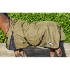 John Whitaker Carlton Midi Neck 0g 39 John Whitaker Carlton Midi Neck 0g -Horse Supplies Sale carlton 2 1300x1300 1 7 jpg