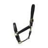 Coldstream Leather Padded Head Collar Black -Horse Supplies Sale coldstream leather padded head collar black 3