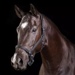 Collegiate ComFiTec Leather Headcollar -Horse Supplies Sale collegiate comfitec leather headcollar black 1 jpg