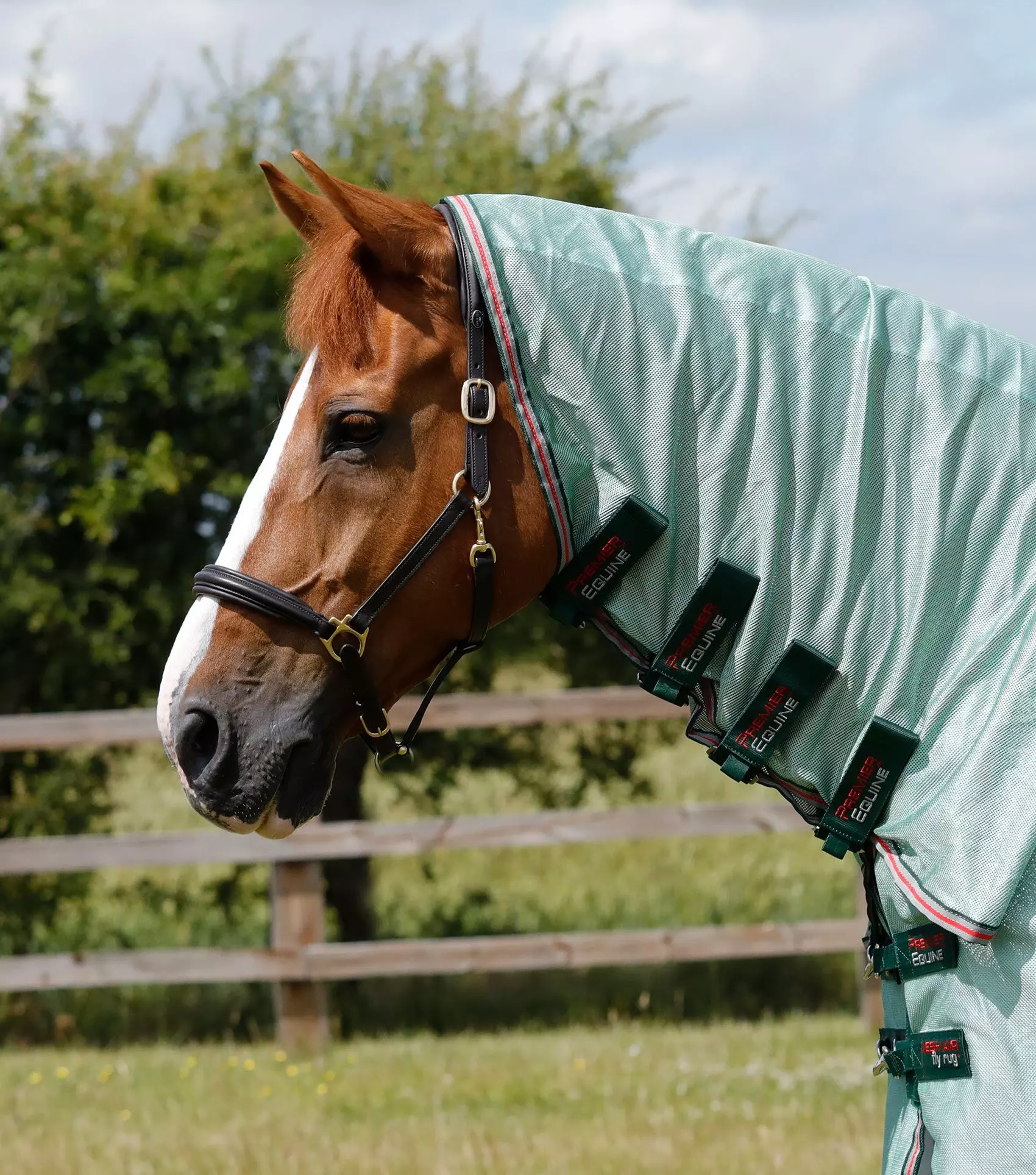 Premier Equine Combo Mesh Air Fly Rug With Surcingles 9 Premier Equine Combo Mesh Air Fly Rug With Surcingles - Image 7