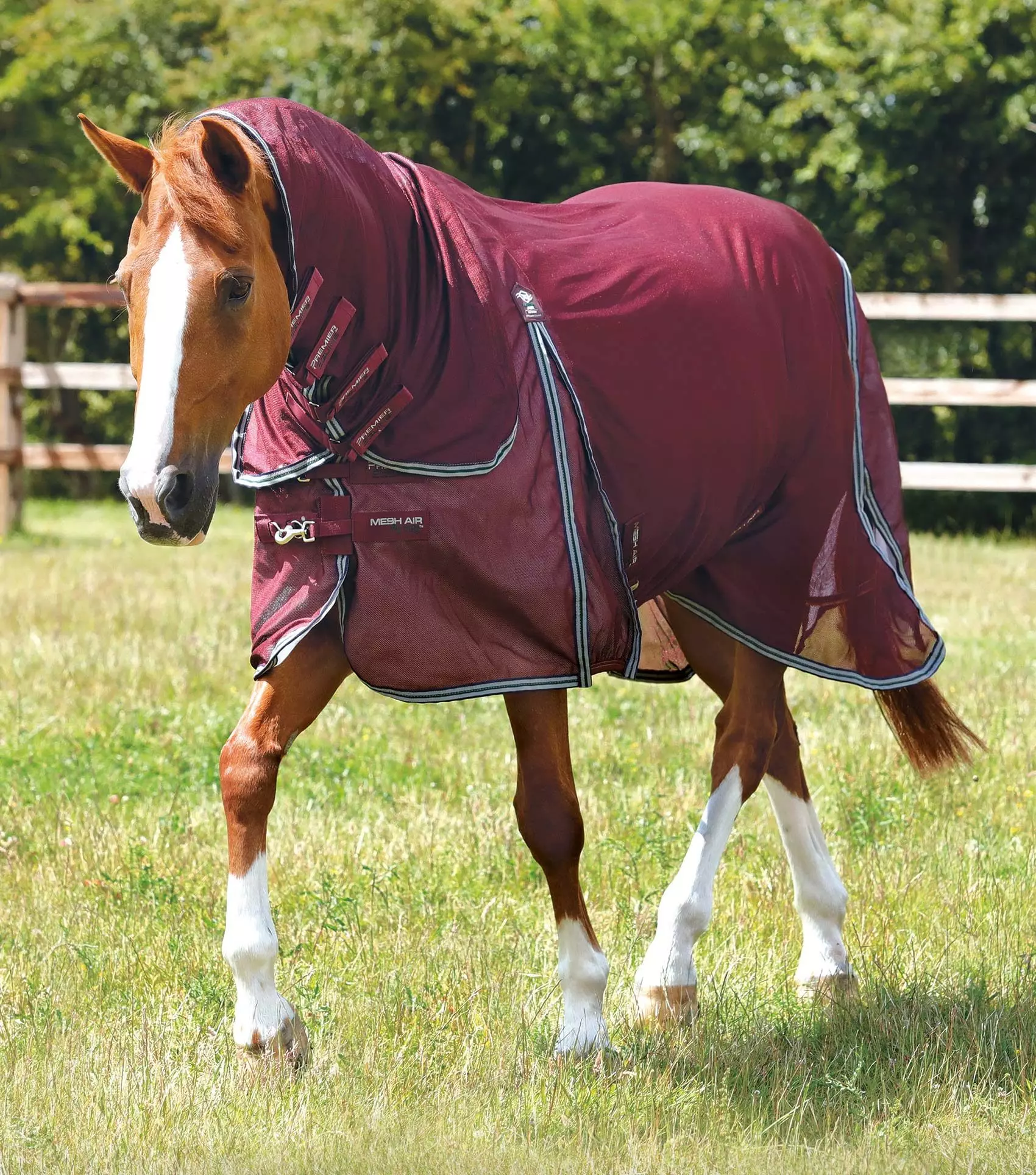 Premier Equine Combo Mesh Air Fly Rug With Surcingles 19 Premier Equine Combo Mesh Air Fly Rug With Surcingles - Image 17